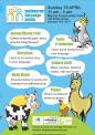 mlp_flyer3.jpg mlp_flyer3.jpg
