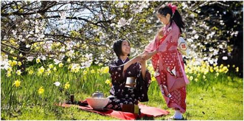 Hanami Day Sunday 22 September