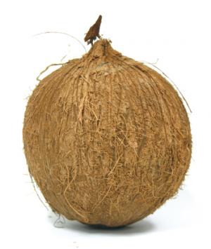 ココナッツ　Coconut
