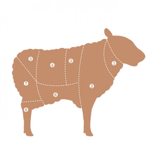 lamb