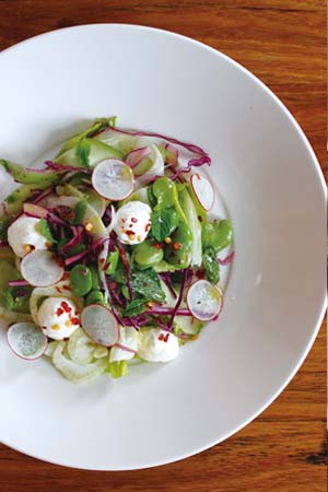 Broad beans, cucumber, mint + labneh