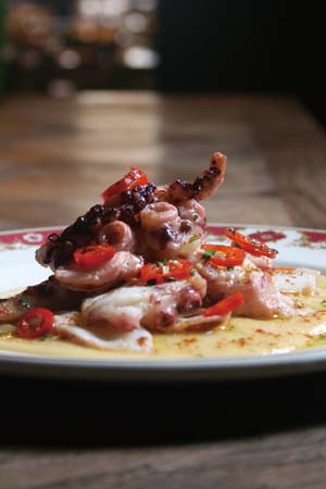 Charred octopus, fava, chilli