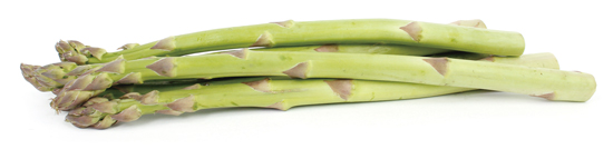アスパラガス　Asparagus