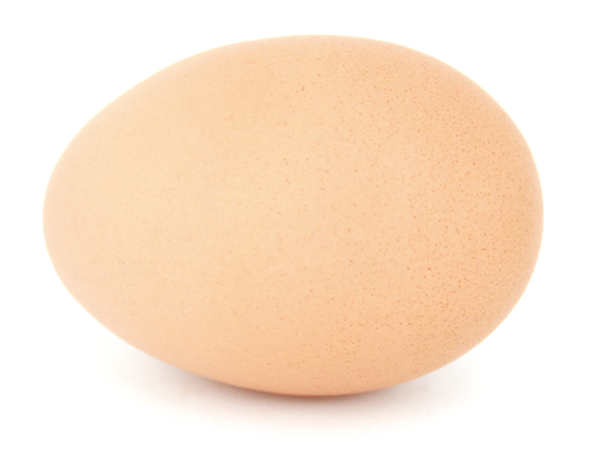 たまご　Egg