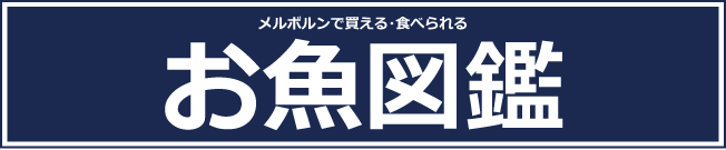 お魚図鑑